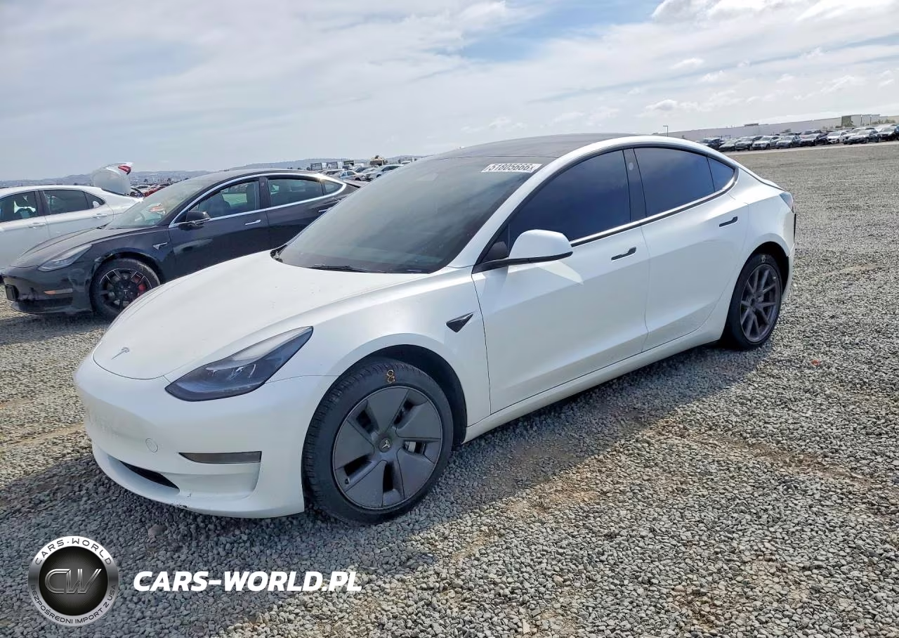 2023 Tesla Model 3