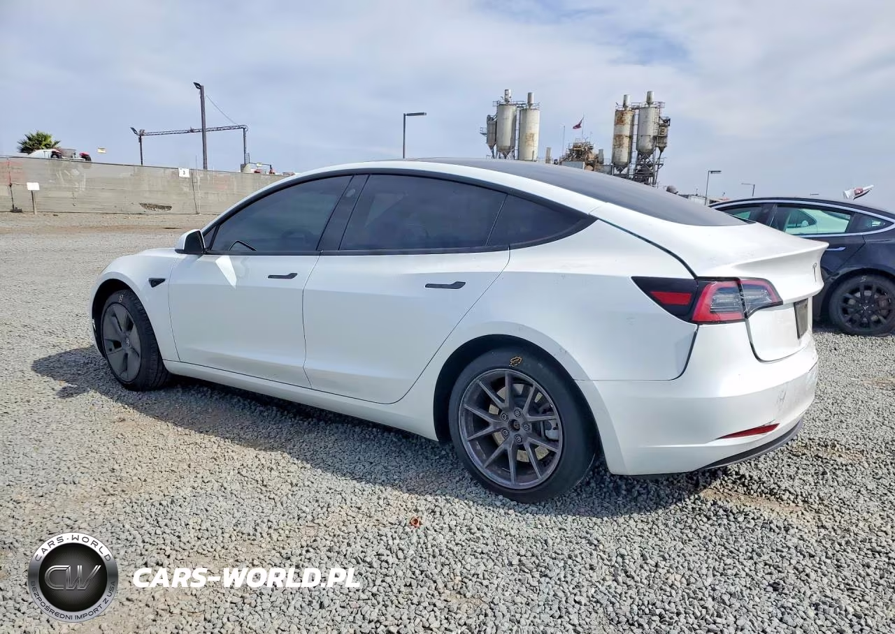 2023 Tesla Model 3 VIN:5YJ3E1EA7PF466459 - 2
