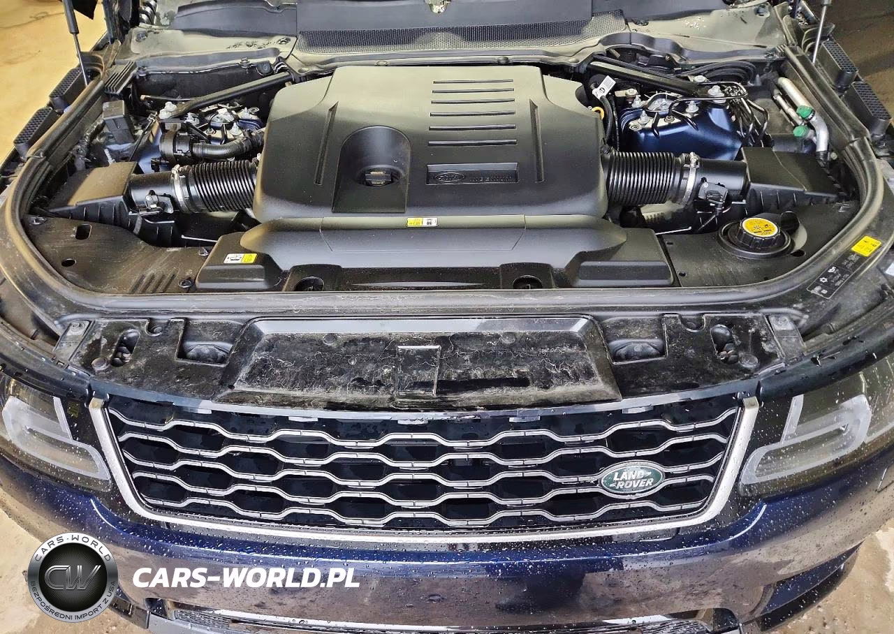 2020 Land Rover Range Rover Sport Hse VIN:SALWR2SU3LA892134 - 12