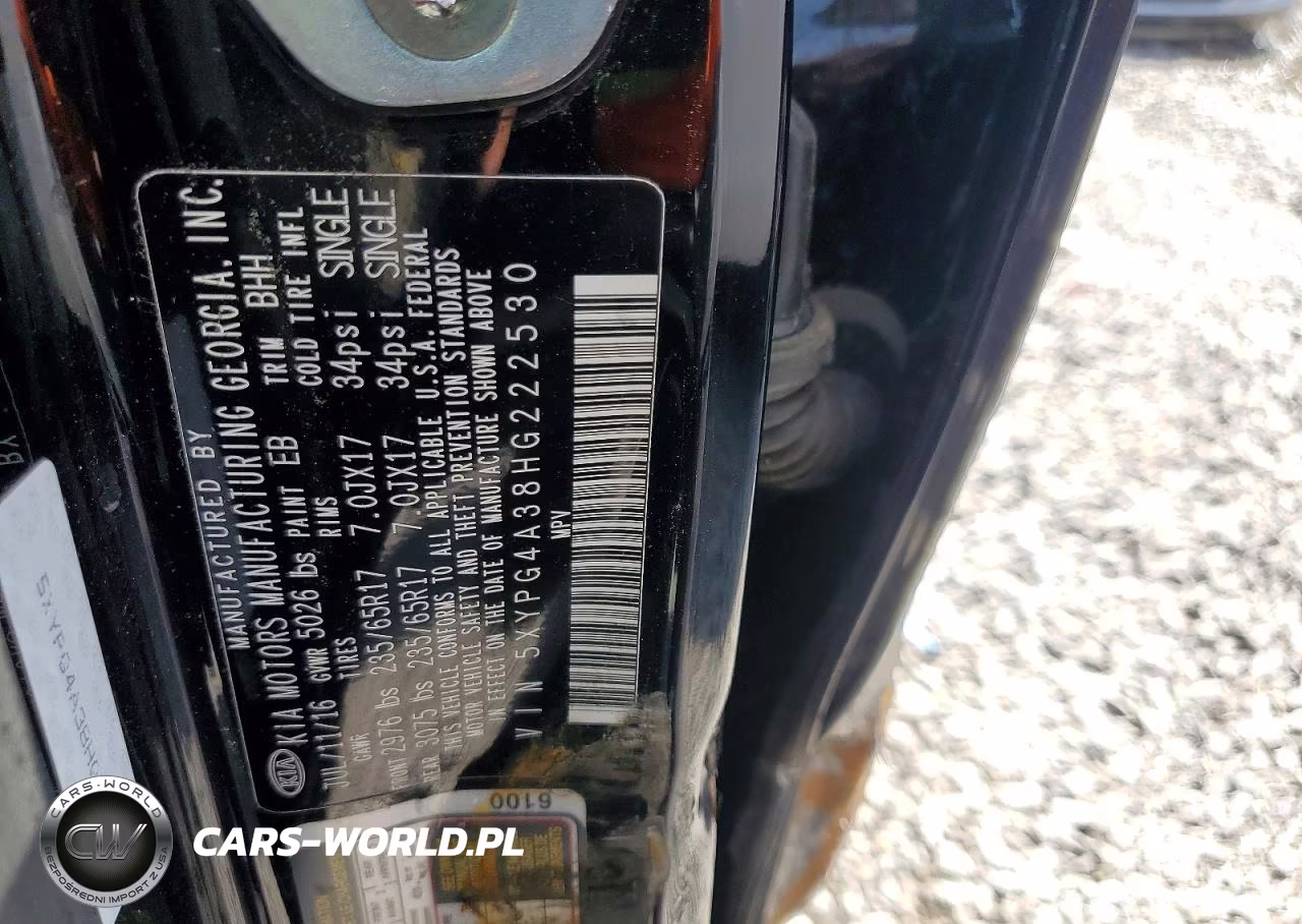 2017 Kia Sorento Lx VIN:5XYPG4A38HG222530 - 13