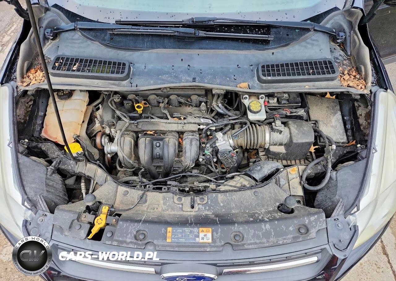 2016 Ford Escape Se VIN:1FMCU0G75GUC15408 - 11