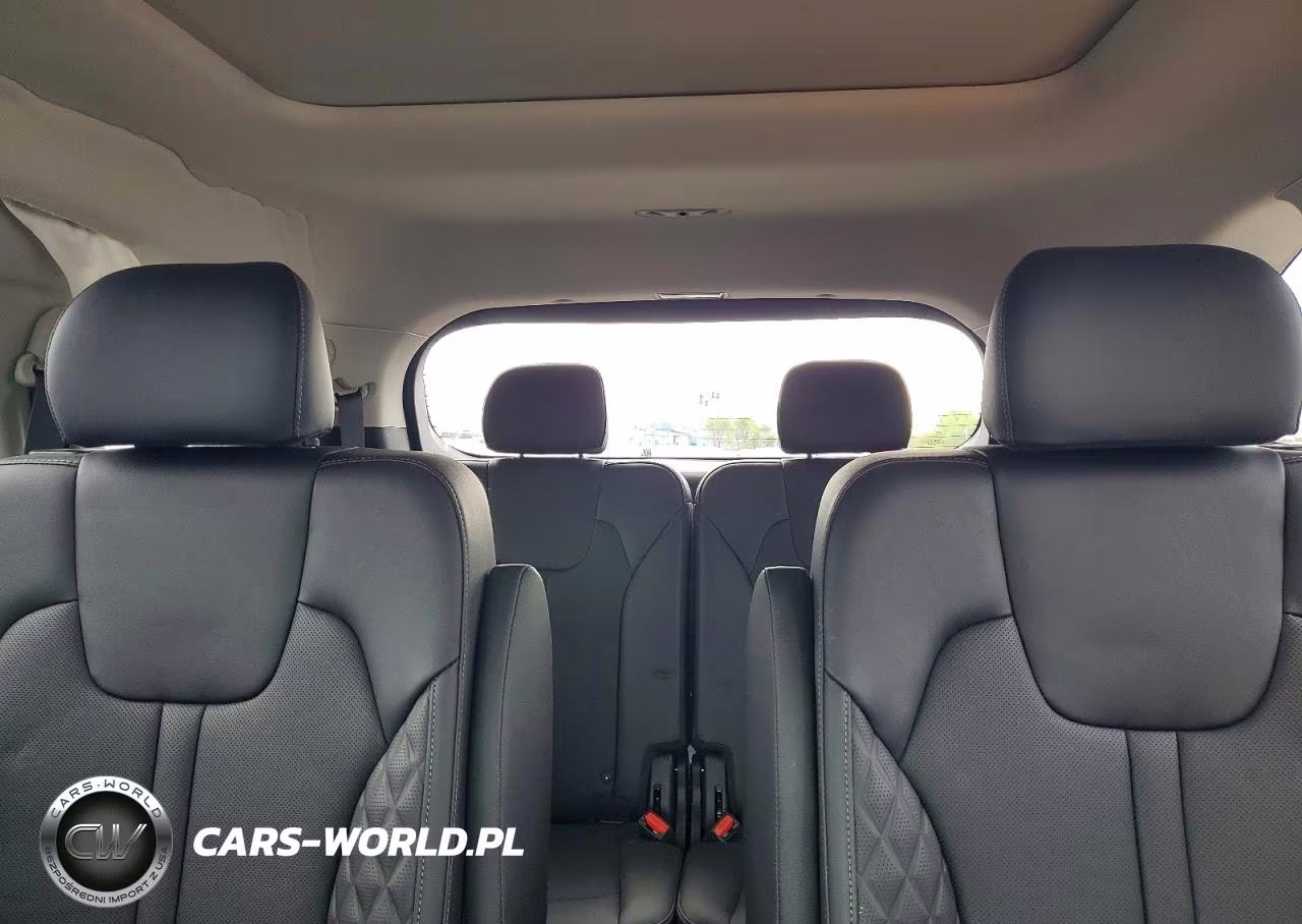 2023 Kia Sorento X-Line Sx Prestige VIN:5XYRKDLF1PG178979 - 10