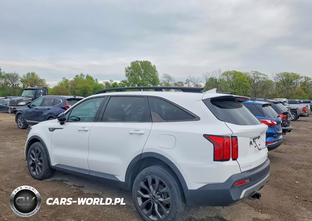 2023 Kia Sorento X-Line Sx Prestige VIN:5XYRKDLF1PG178979 - 2