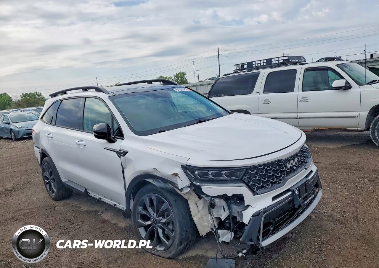 2023 Kia Sorento X-Line Sx Prestige VIN:5XYRKDLF1PG178979 - 4