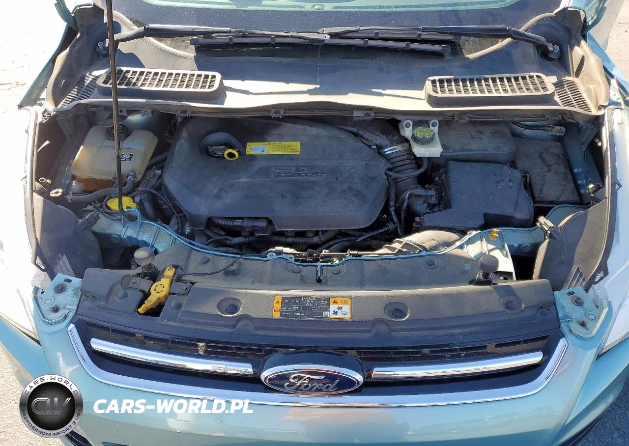 2013 Ford Escape Sel VIN:1FMCU0HX4DUB83951 - 12