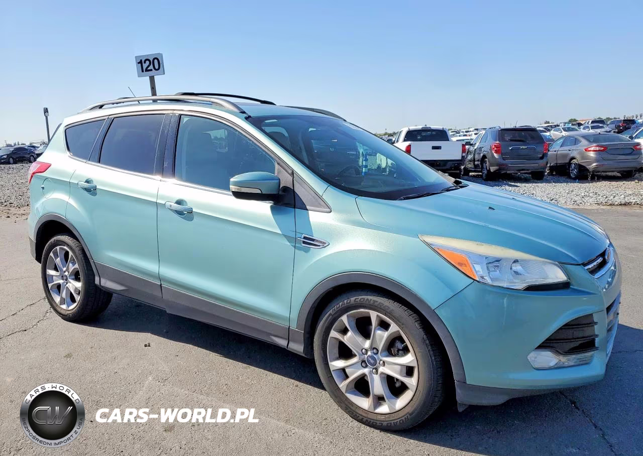 2013 Ford Escape Sel VIN:1FMCU0HX4DUB83951 - 4