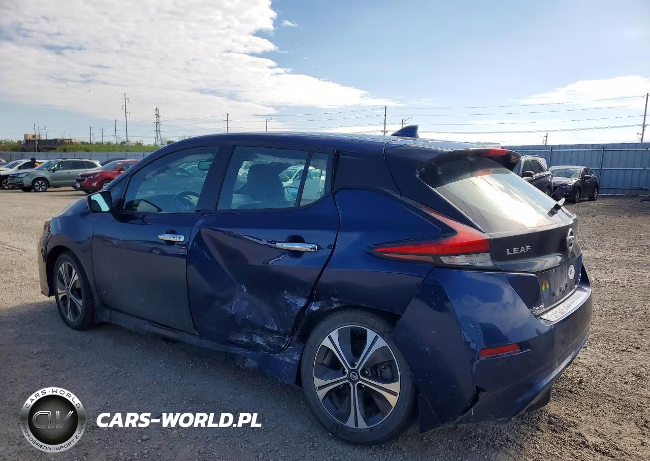 2020 Nissan Leaf Sl Plus VIN:1N4BZ1DP6LC301862 - 2