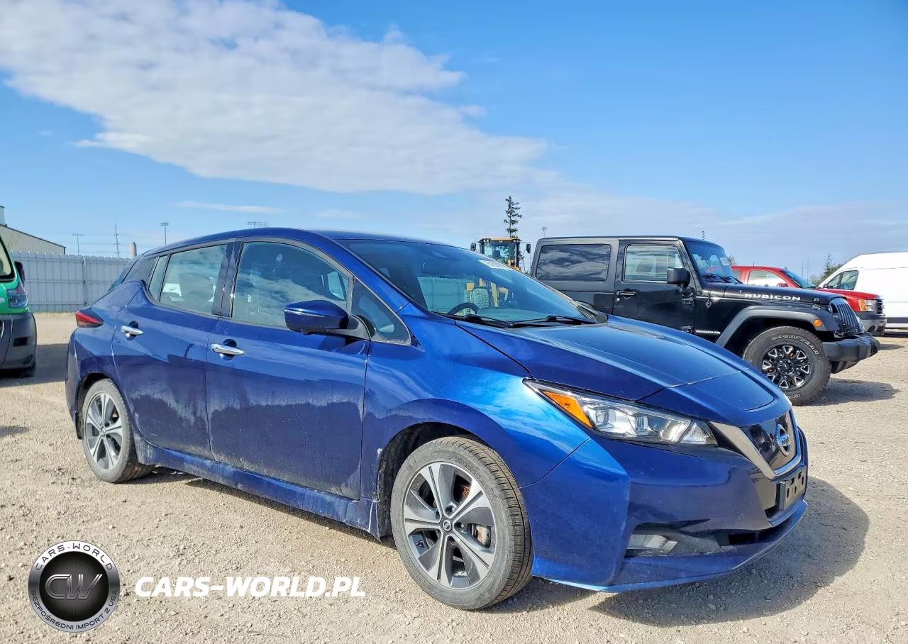 2020 Nissan Leaf Sl Plus VIN:1N4BZ1DP6LC301862 - 4