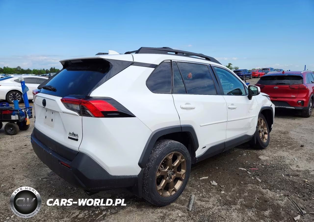 2023 Toyota Rav4 Woodland Edition VIN:2T3UWRFV4PW163361 - 3