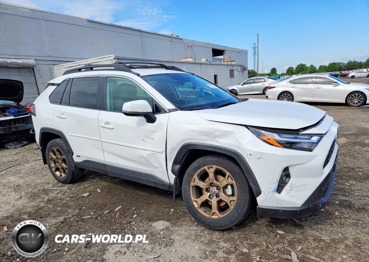 2023 Toyota Rav4 Woodland Edition VIN:2T3UWRFV4PW163361 - 4