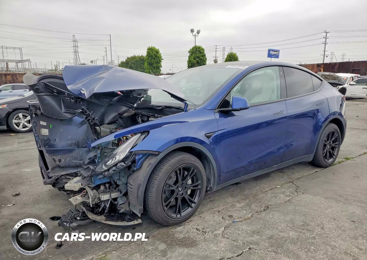 2020 Tesla Model Y