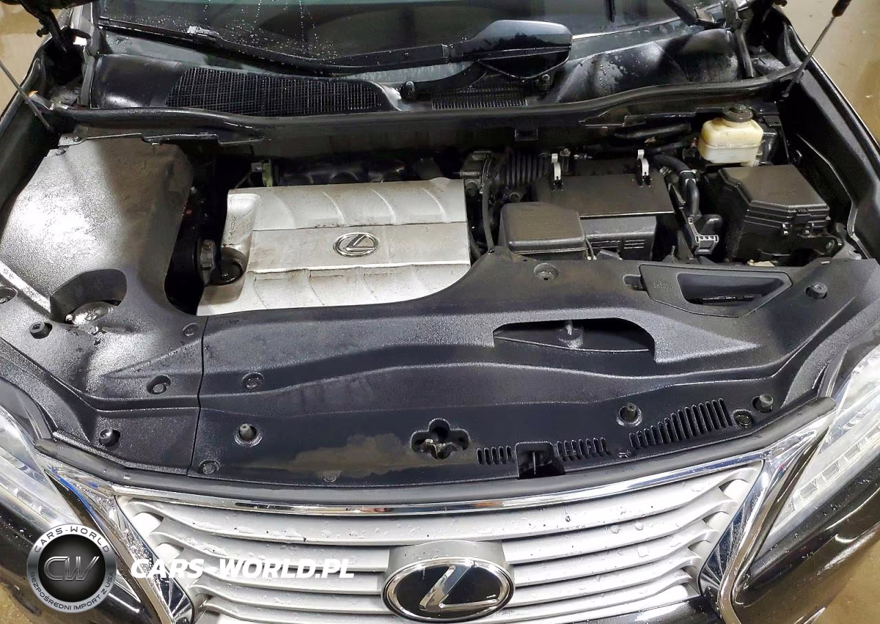 2015 Lexus Rx 350 Base VIN:2T2BK1BA0FC339544 - 11