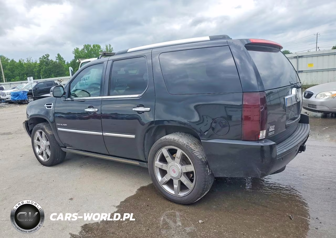 2011 Cadillac Escalade Premium VIN:1GYS3CEF0BR349764 - 2