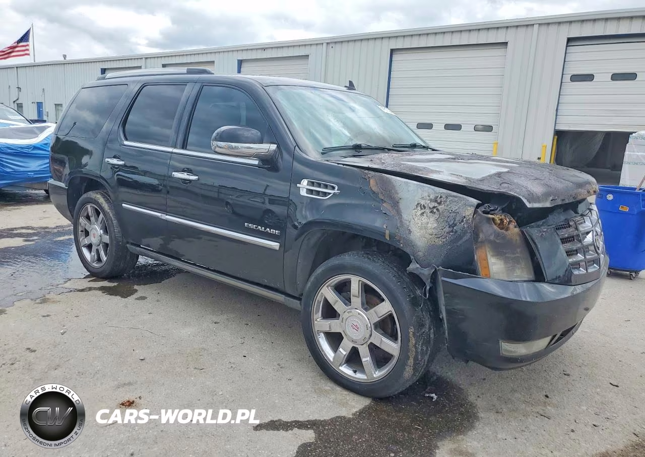 2011 Cadillac Escalade Premium VIN:1GYS3CEF0BR349764 - 4