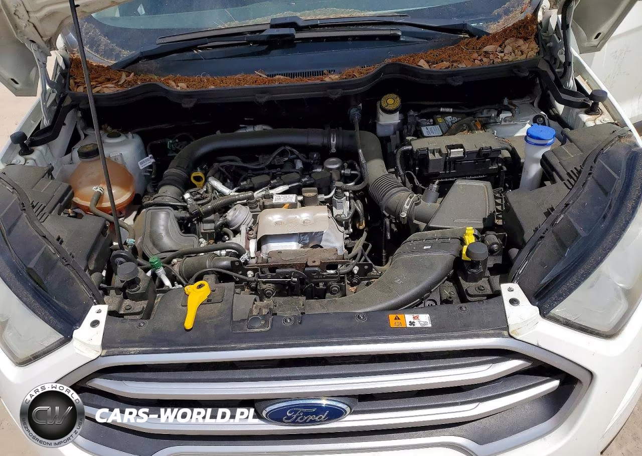 2019 Ford Ecosport Se VIN:MAJ3S2GE6KC308527 - 12