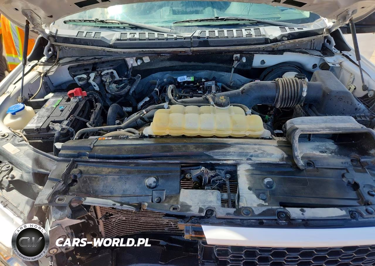 2020 Ford F150 Supercrew VIN:1FTEW1CP3LFA93861 - 11