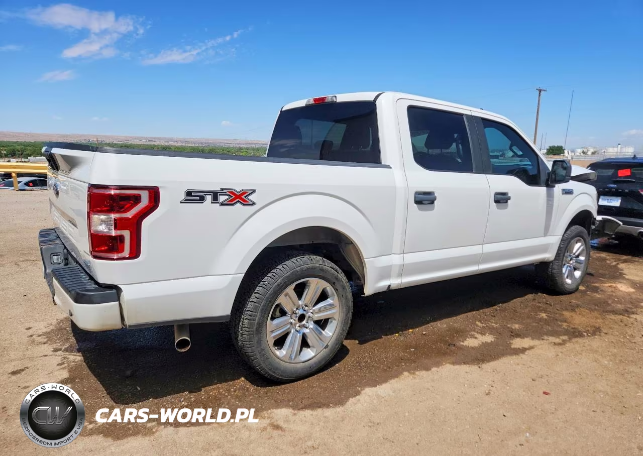 2020 Ford F150 Supercrew VIN:1FTEW1CP3LFA93861 - 3