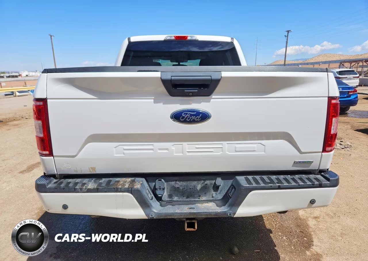 2020 Ford F150 Supercrew VIN:1FTEW1CP3LFA93861 - 6