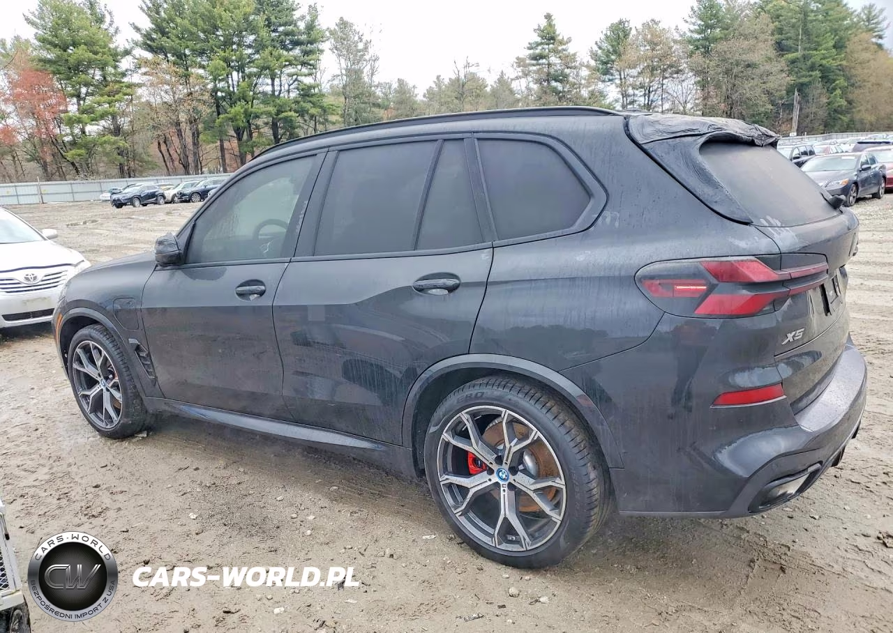 2024 BMW X5 xDrive50E VIN:5UX43EU04R9T30411 - 2