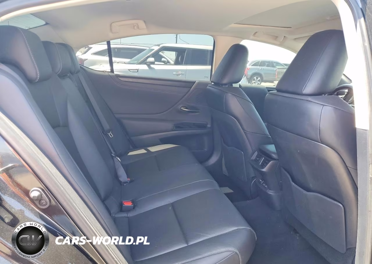 2024 Lexus Es 300H Base VIN:58ADA1C17RU052227 - 10