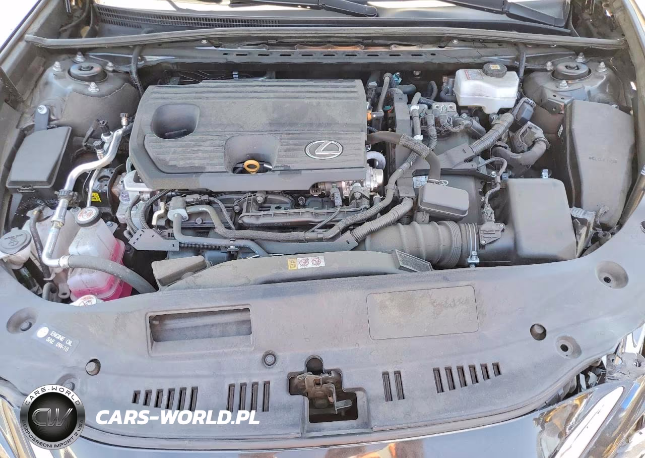 2024 Lexus Es 300H Base VIN:58ADA1C17RU052227 - 11