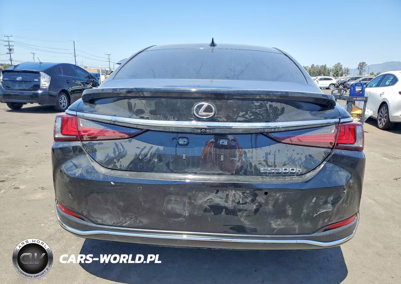 2024 Lexus Es 300H Base VIN:58ADA1C17RU052227 - 6