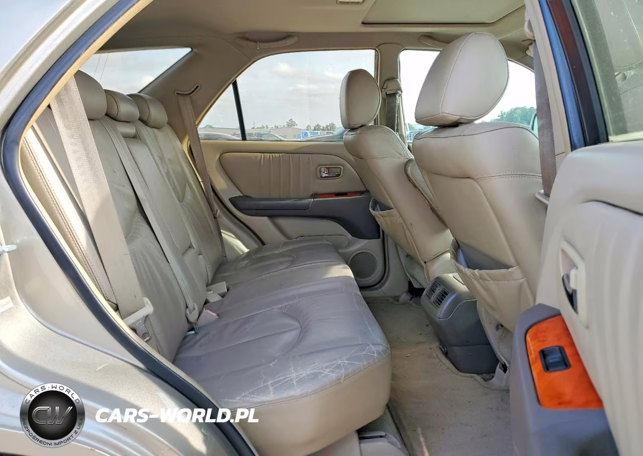 2002 Lexus Rx 300 VIN:JTJGF10U720142027 - 11