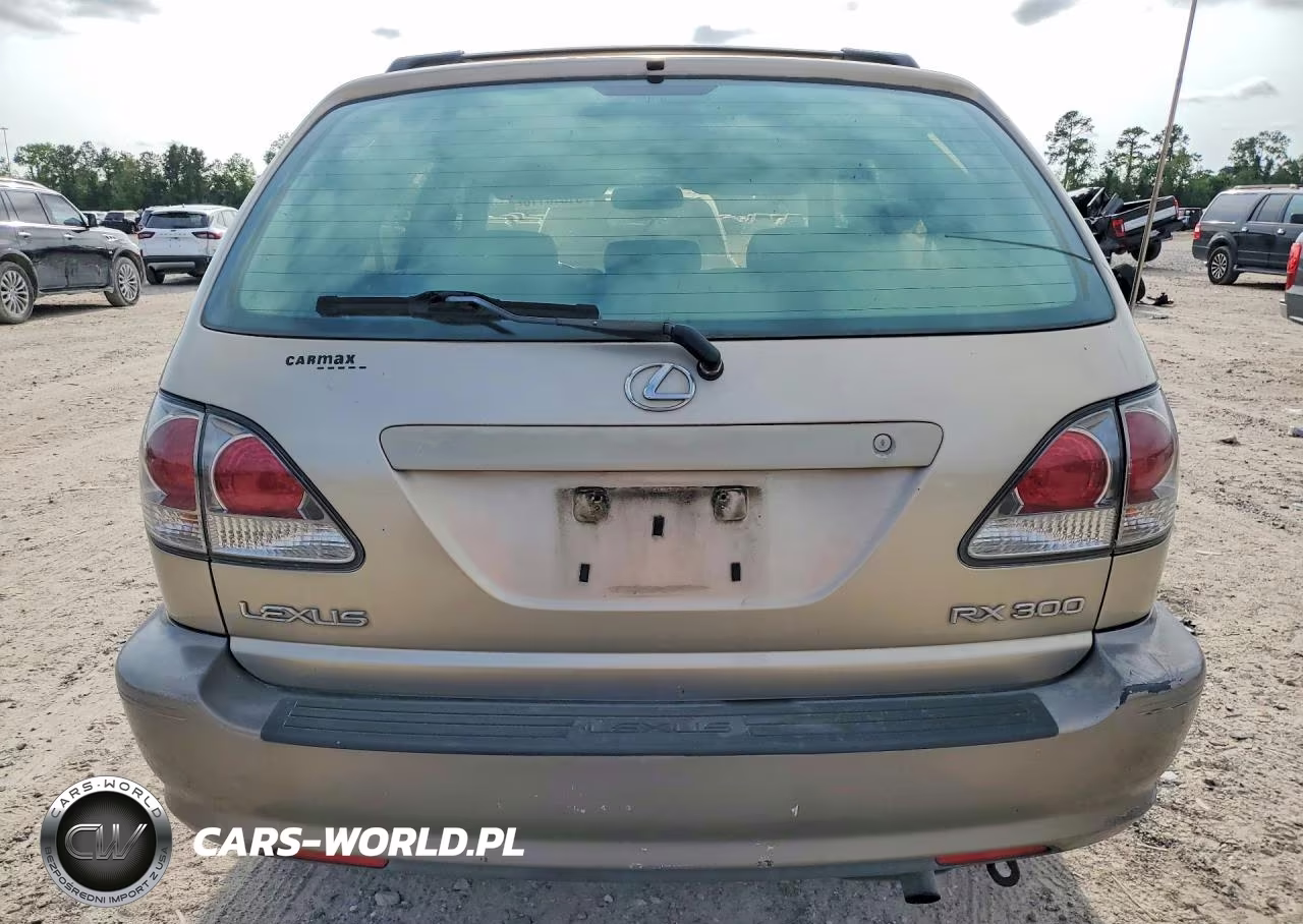 2002 Lexus Rx 300 VIN:JTJGF10U720142027 - 6