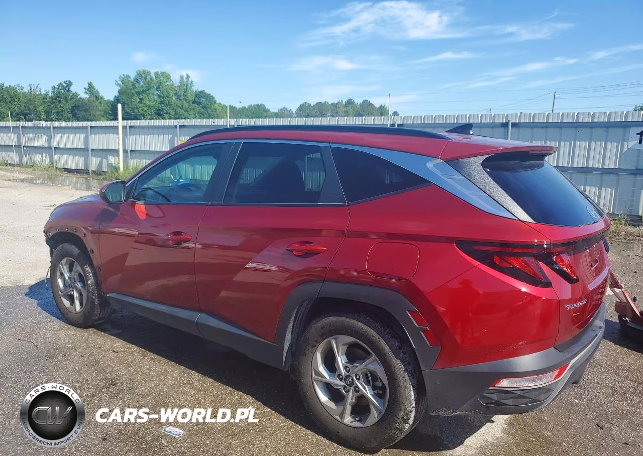 2024 Hyundai Tucson Sel VIN:5NMJB3DE3RH417776 - 2