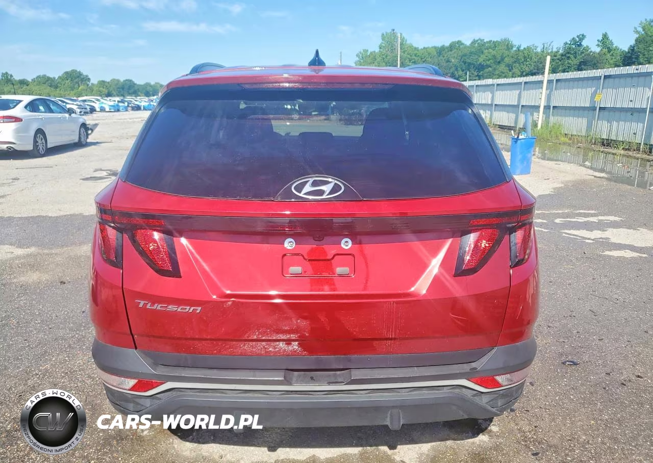 2024 Hyundai Tucson Sel VIN:5NMJB3DE3RH417776 - 6