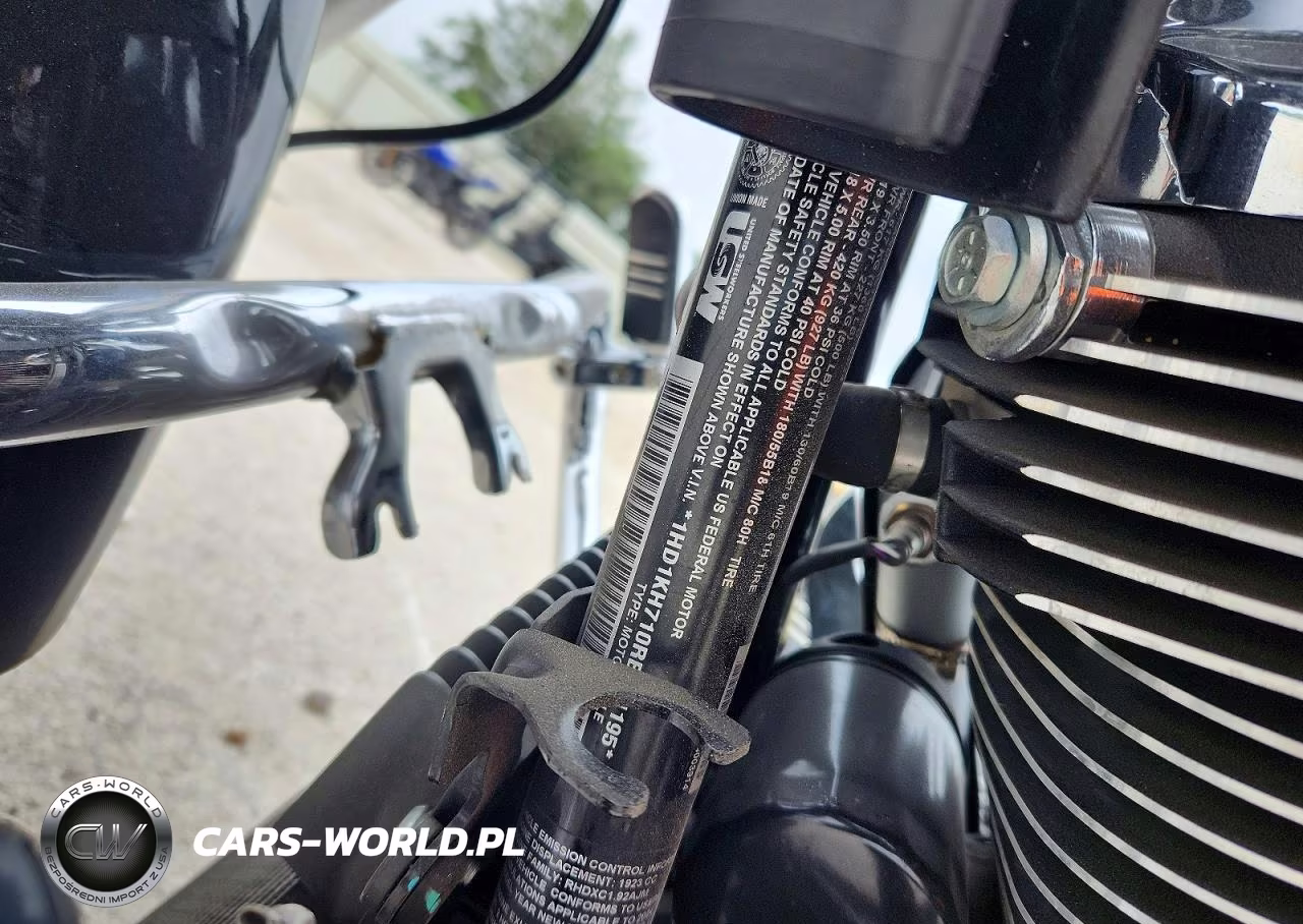 2024 Harley Davidson Fltrx VIN:1HD1KH710RB631195 - 9