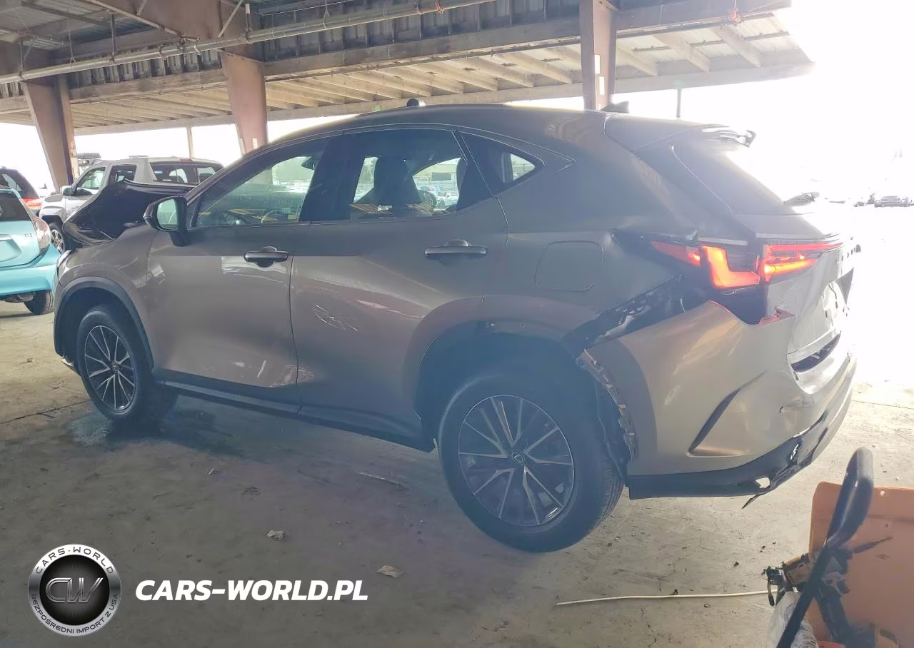 2023 Lexus Nx 350 VIN:2T2AGCEZ9PC020381 - 2
