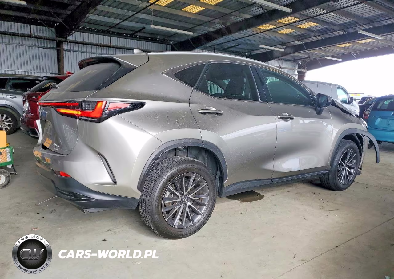 2023 Lexus Nx 350 VIN:2T2AGCEZ9PC020381 - 3