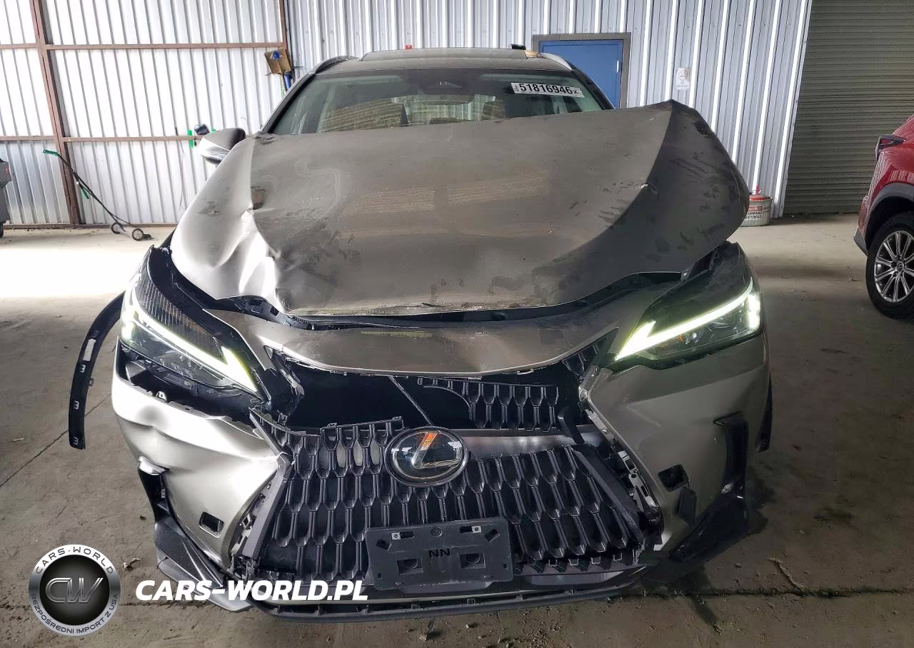 2023 Lexus Nx 350 VIN:2T2AGCEZ9PC020381 - 5