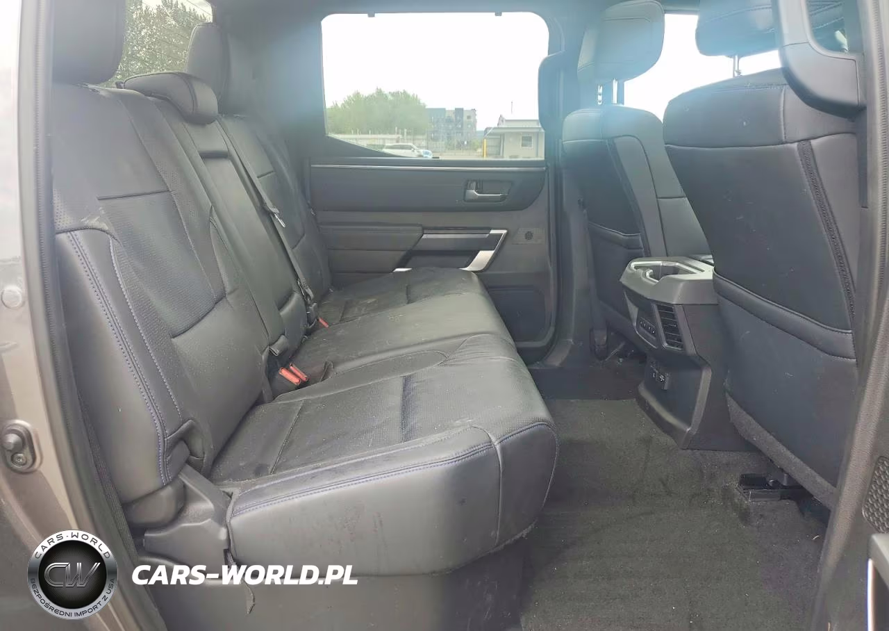 2023 Toyota Tundra Platinum VIN:5TFNA5EC8PX013969 - 10
