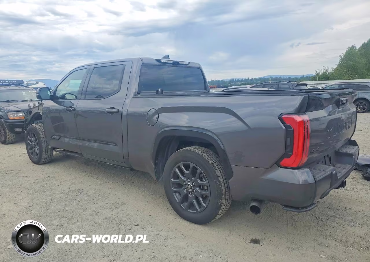 2023 Toyota Tundra Platinum VIN:5TFNA5EC8PX013969 - 2
