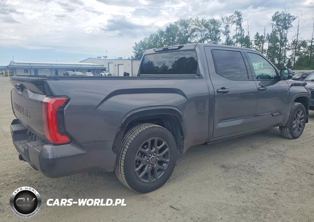 2023 Toyota Tundra Platinum VIN:5TFNA5EC8PX013969 - 3