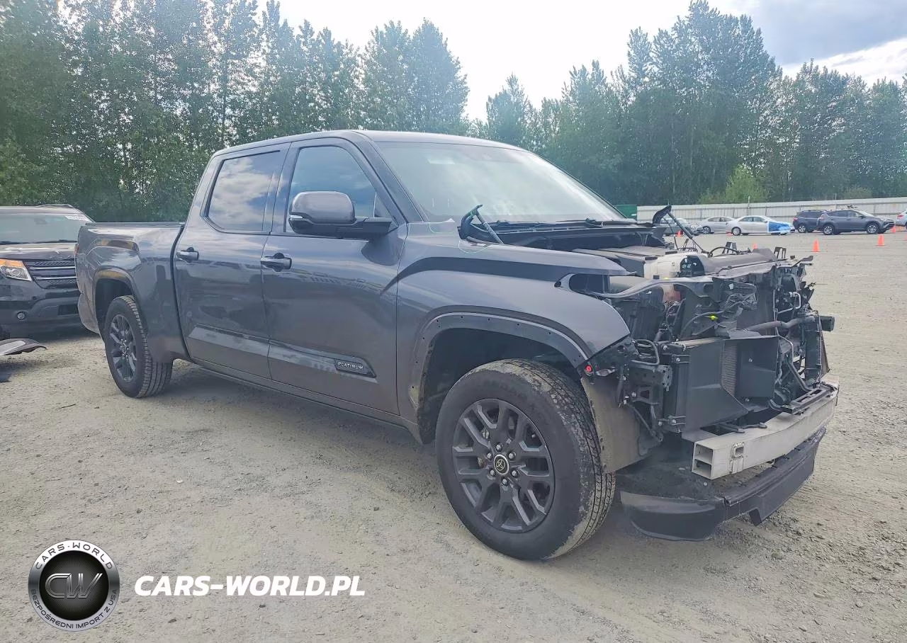2023 Toyota Tundra Platinum VIN:5TFNA5EC8PX013969 - 4