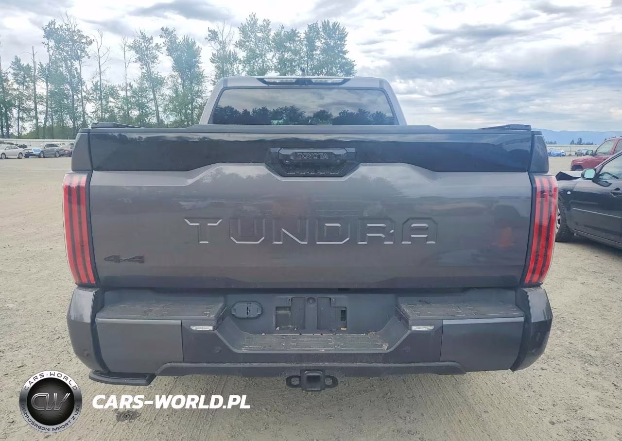 2023 Toyota Tundra Platinum VIN:5TFNA5EC8PX013969 - 6