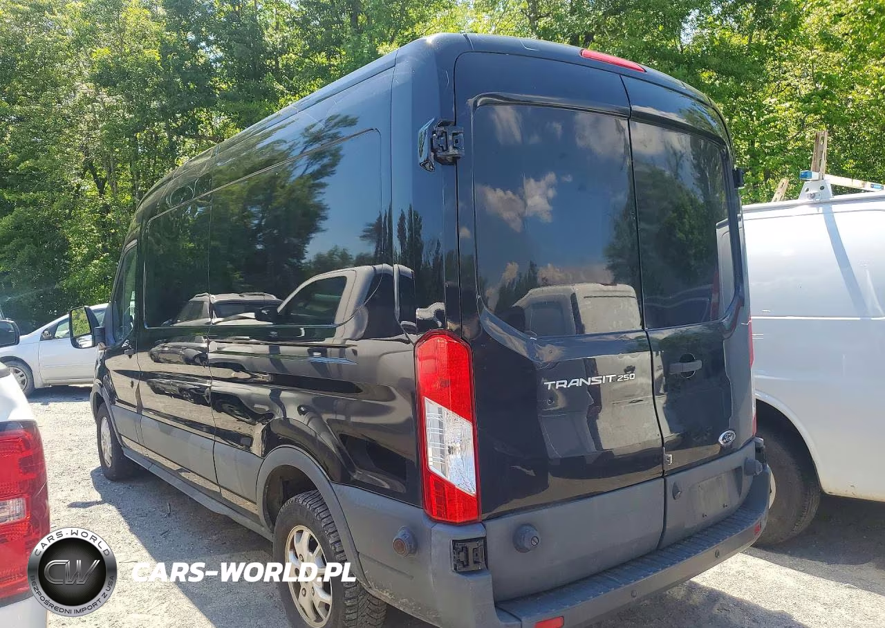 2016 Ford Transit T-250 VIN:1FTYR2CM5GKB54382 - 2