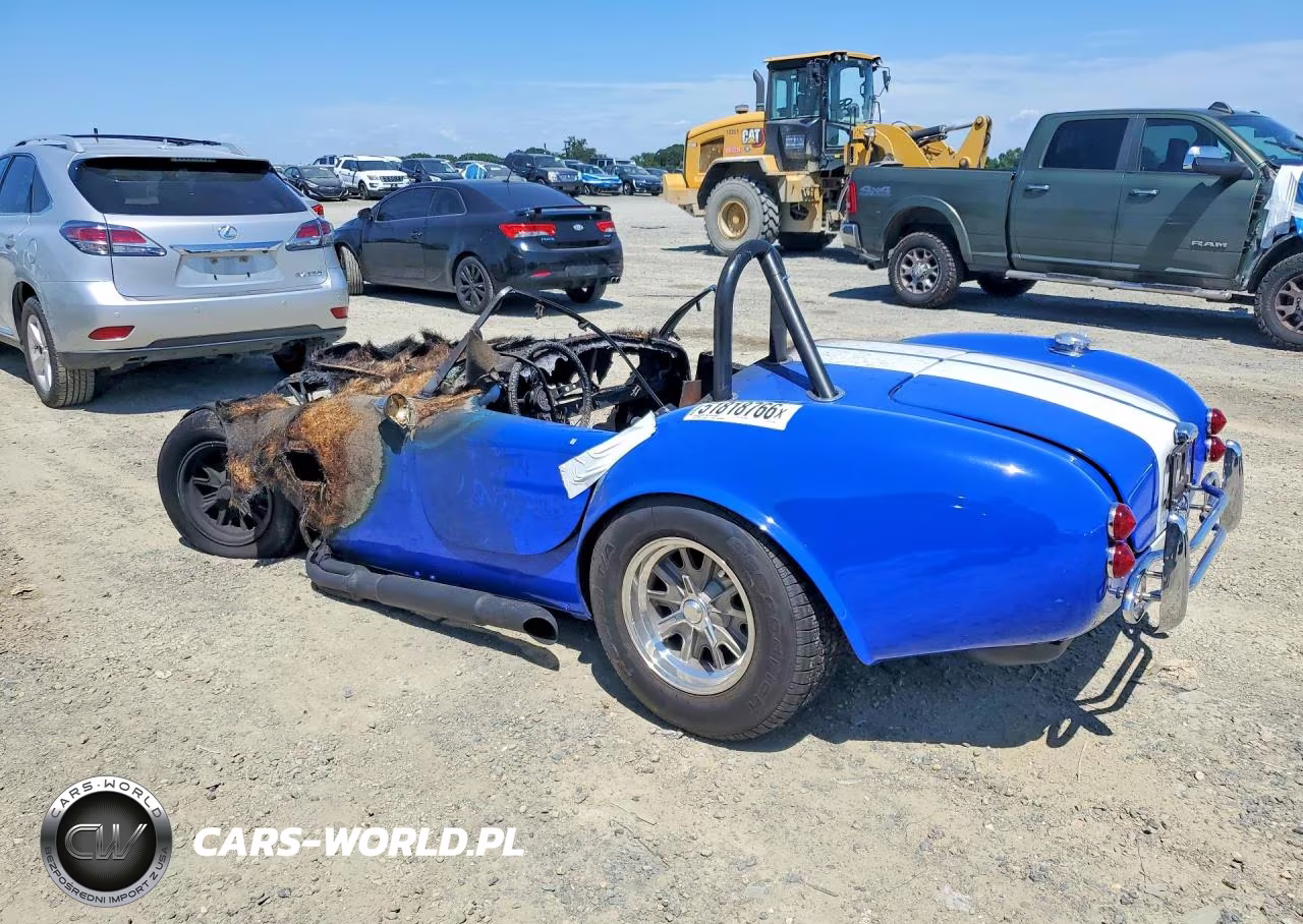 2001 Shel Cobra VIN:FFR2799K - 2