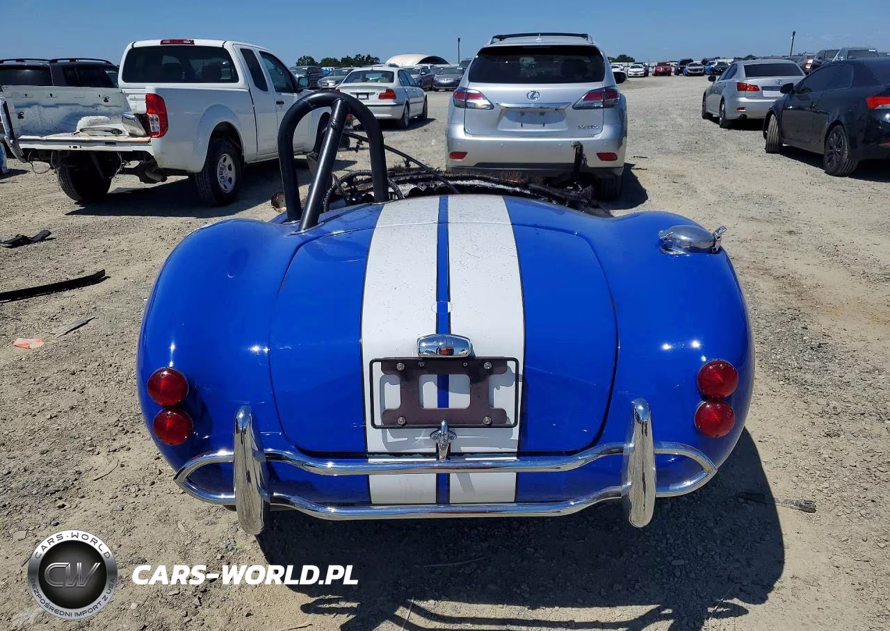 2001 Shel Cobra VIN:FFR2799K - 6