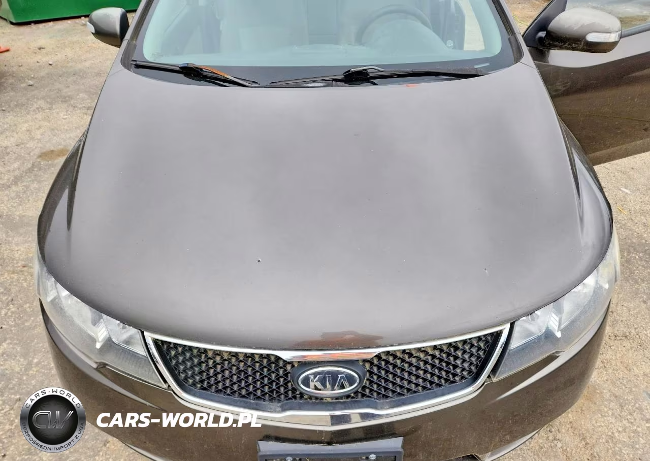 2010 Kia Forte Ex VIN:KNAFU4A26A5122644 - 11
