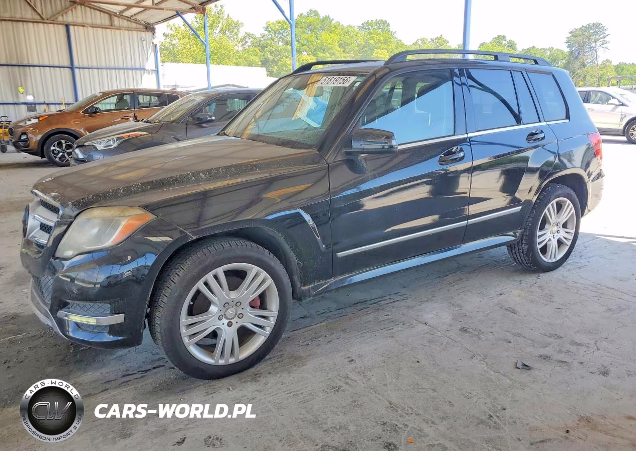 2013 Merz Glk