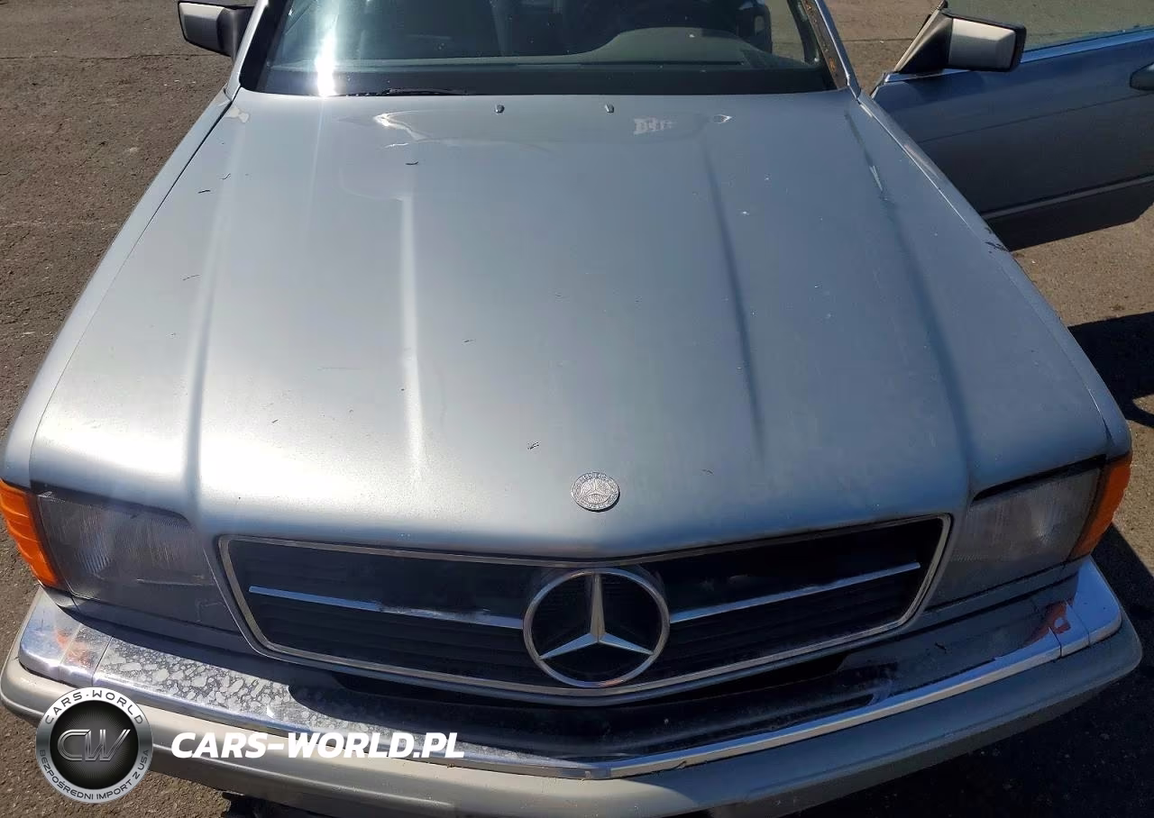 1982 Mercedes-Benz 380 Sec VIN:WDBCA43A6CB001733 - 11