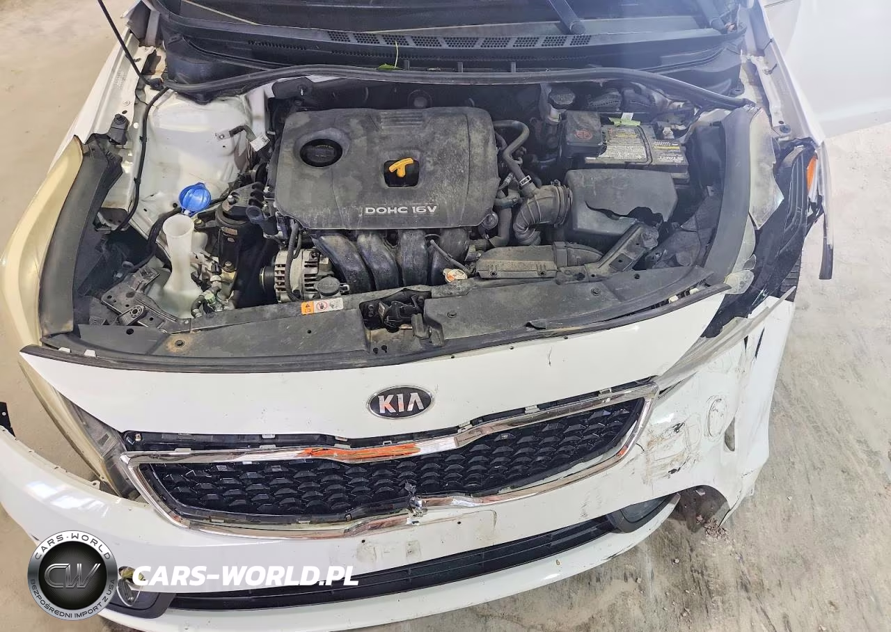 2017 Kia Forte VIN:3KPFK4A71HE053896 - 11