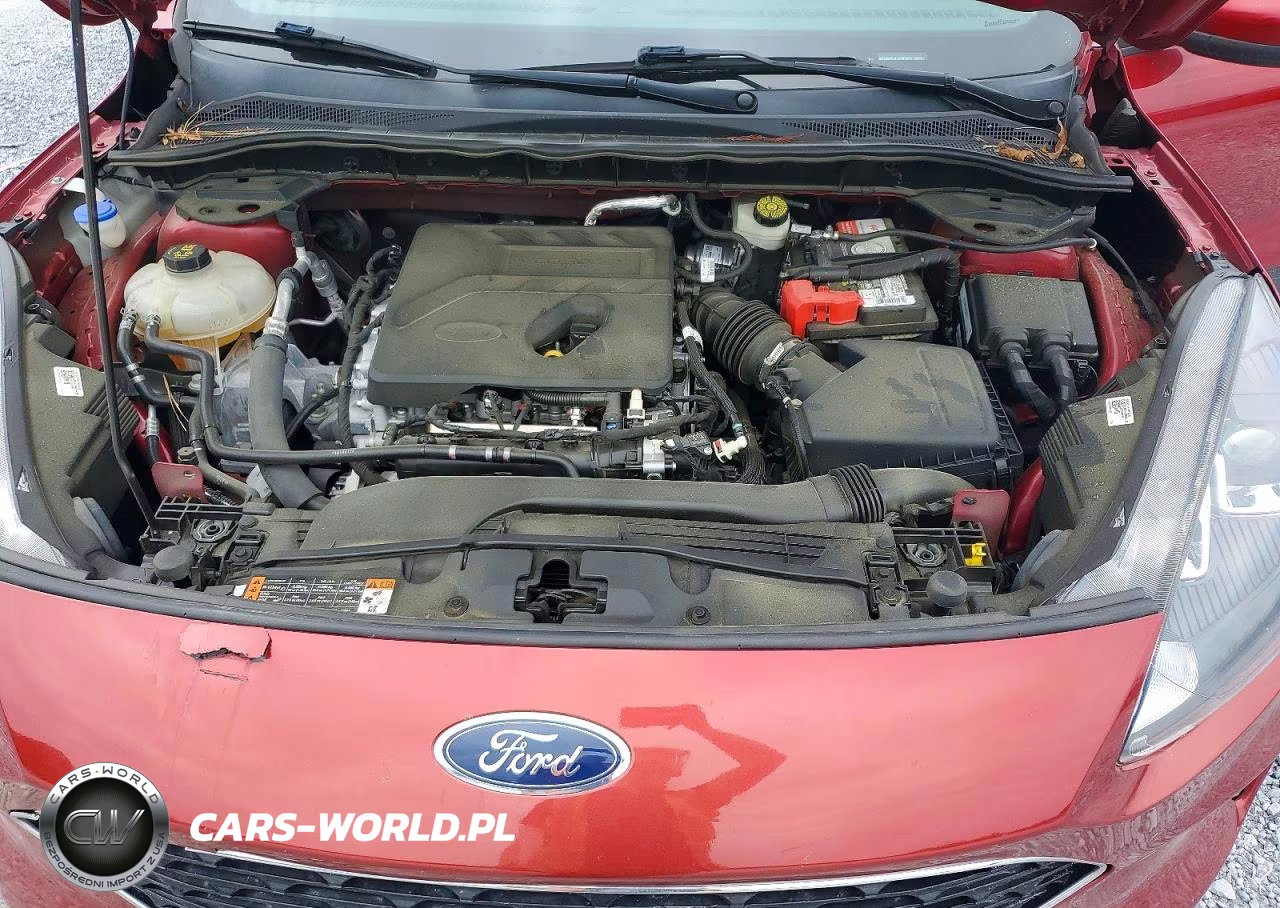 2020 Ford Escape Sel VIN:1FMCU0H63LUB07885 - 11