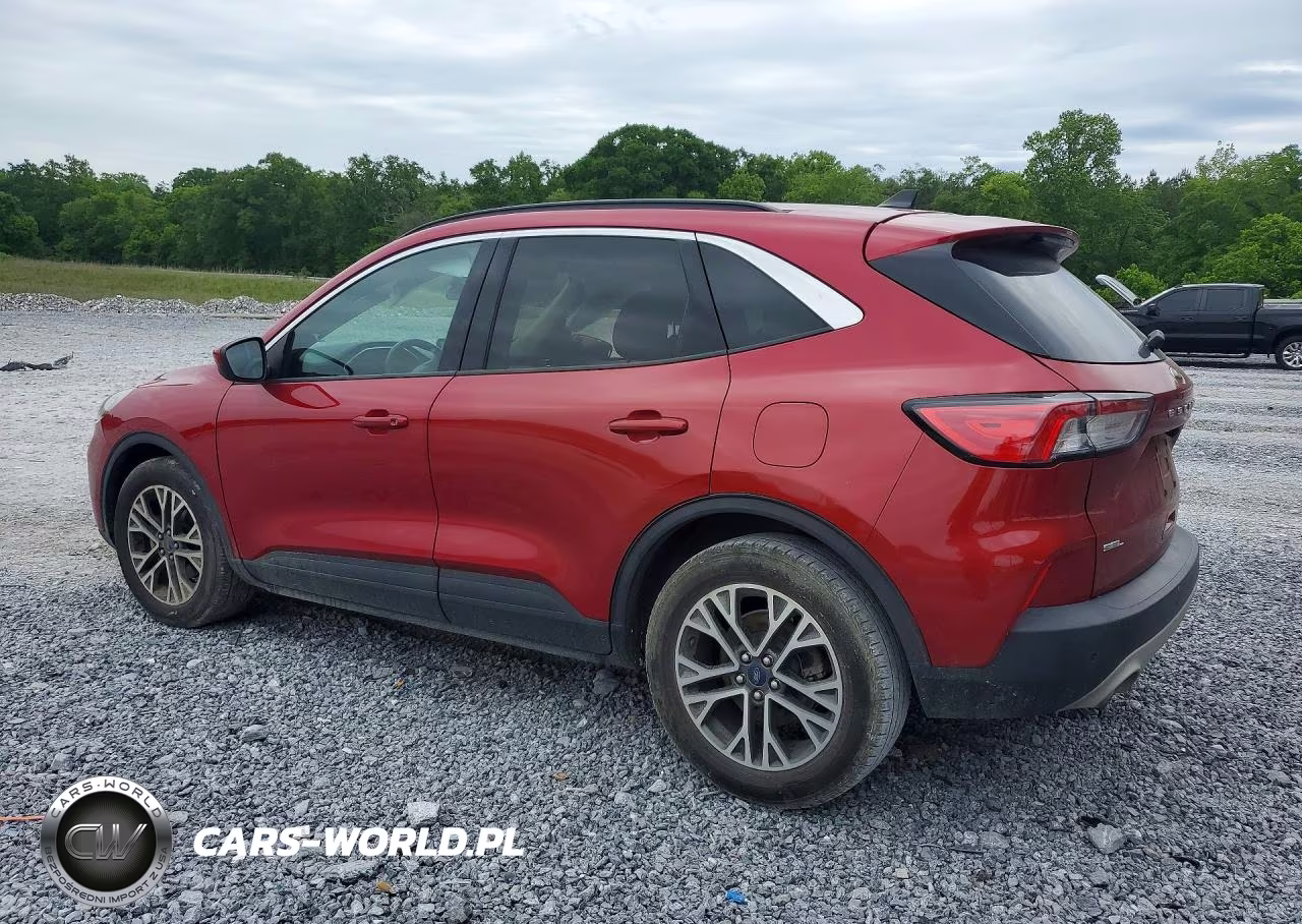 2020 Ford Escape Sel VIN:1FMCU0H63LUB07885 - 2