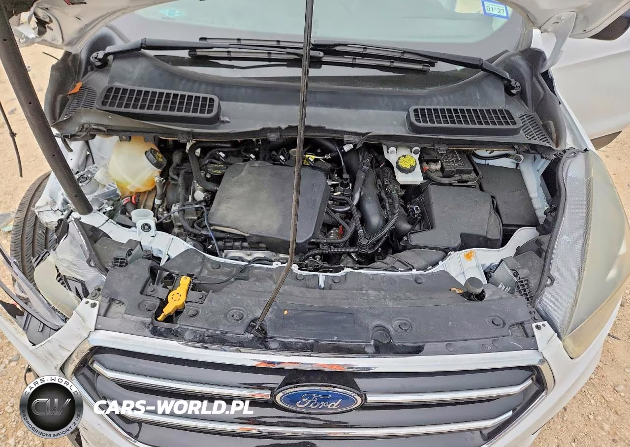 2019 Ford Escape Se VIN:1FMCU0GD7KUA53635 - 12