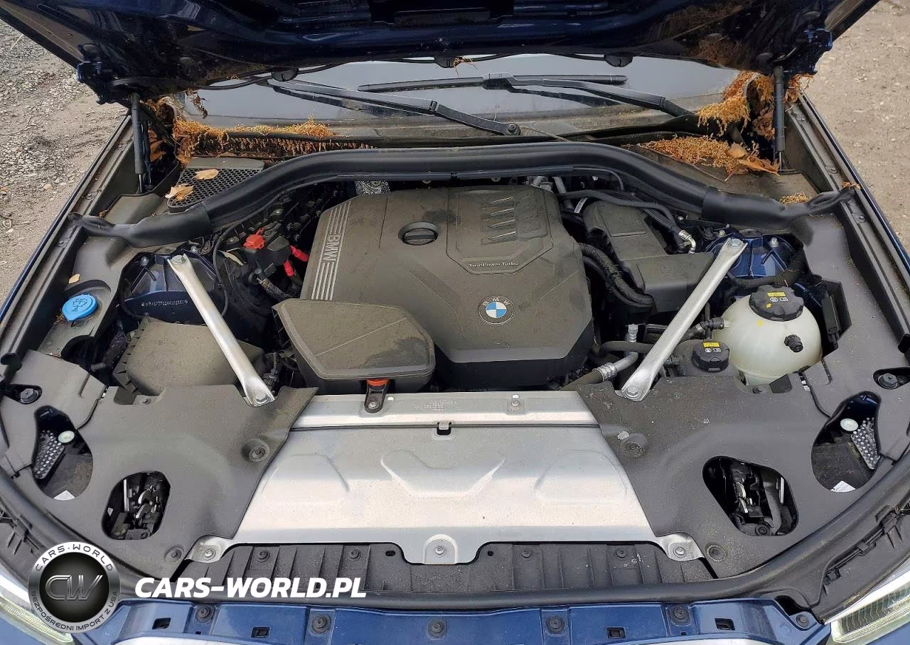 2022 BMW X3 xDrive30I VIN:WBX57DP03NN173992 - 11